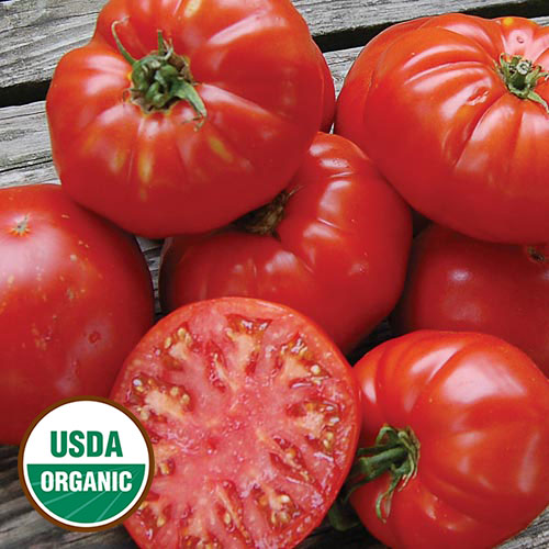 Kanner Hoell Tomato Vegetable Seeds AS2532