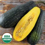 Dostal Cucumber Squash Vegetable Seeds AS2289