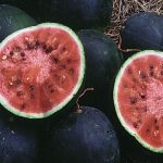 Small Shining Light Watermelon Vegetable Seeds AS2354