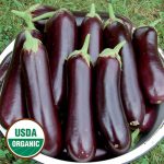 Diamond Eggplant Vegetable Seeds AS2109