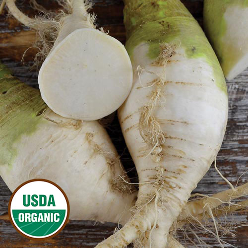 Westport Macomber Turnip Rutabaga Vegetable Seeds AS2268