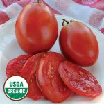 Amish Paste Tomato Vegetable Seeds AS2315