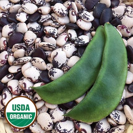 Wick's Lima Bean Vegetable Seeds AS2181