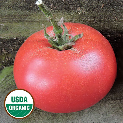 Missouri Pink Love Apple Tomato Vegetable Seeds AS2541