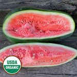 Halbert Honey Watermelon Vegetable Seeds AS2346
