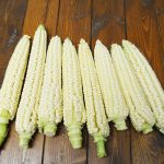 Aunt Mary's Corn Vegetable Seeds AS2068