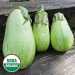 Louisiana Green Oval Eggplant Vegetable Seeds AS2113