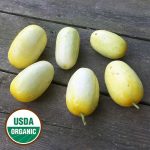 North Carolina Heirloom Cucumber Vegetable Seeds AS2099