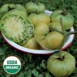 Aunt Ruby's German Green Tomato Vegetable Seeds AS2316