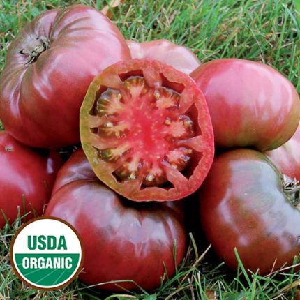 Cherokee Purple Tomato Vegetable Seeds AS2328