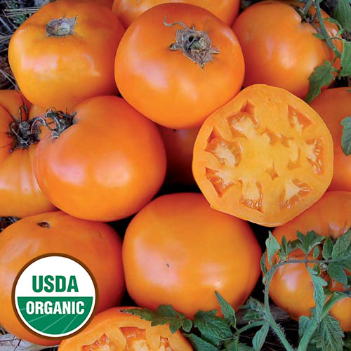 Nebraska Wedding Tomato Vegetable Seeds AS2544