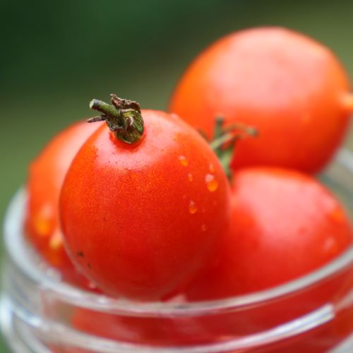 Riesentraube Tomato Vegetable Seeds AS2554
