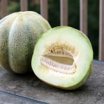 Montreal Market Melon Vegetable Seeds AS2197