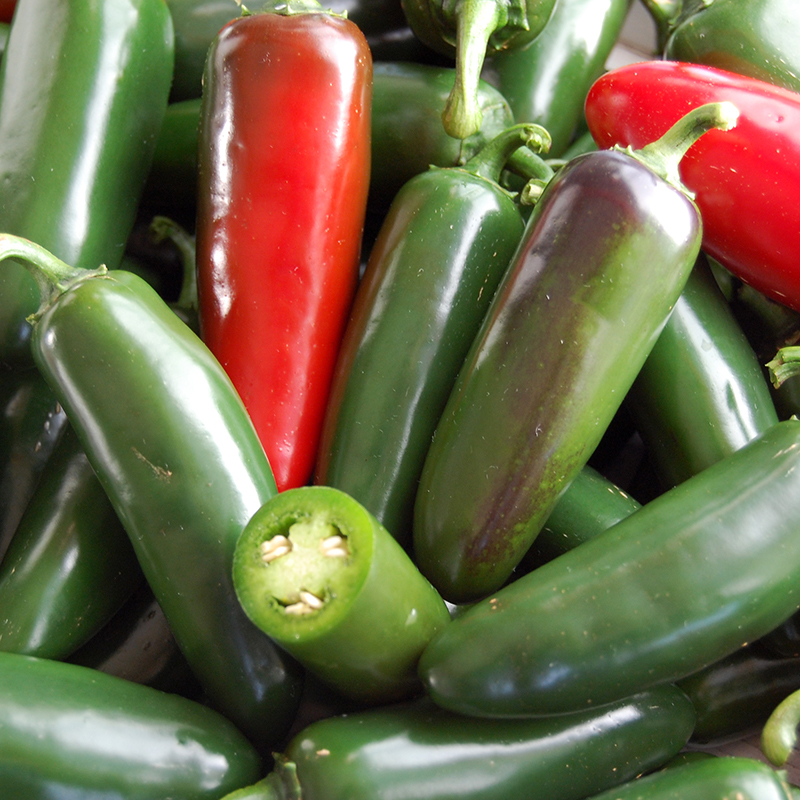 Nadapeno Pepper Vegetable Seeds AS2490
