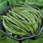 Bountiful Bean Vegetable Seeds AS2012