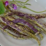 Dragon's Tongue Bean Vegetable Seeds AS2019