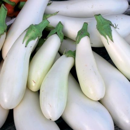 Casper Eggplant Vegetable Seeds AS2108