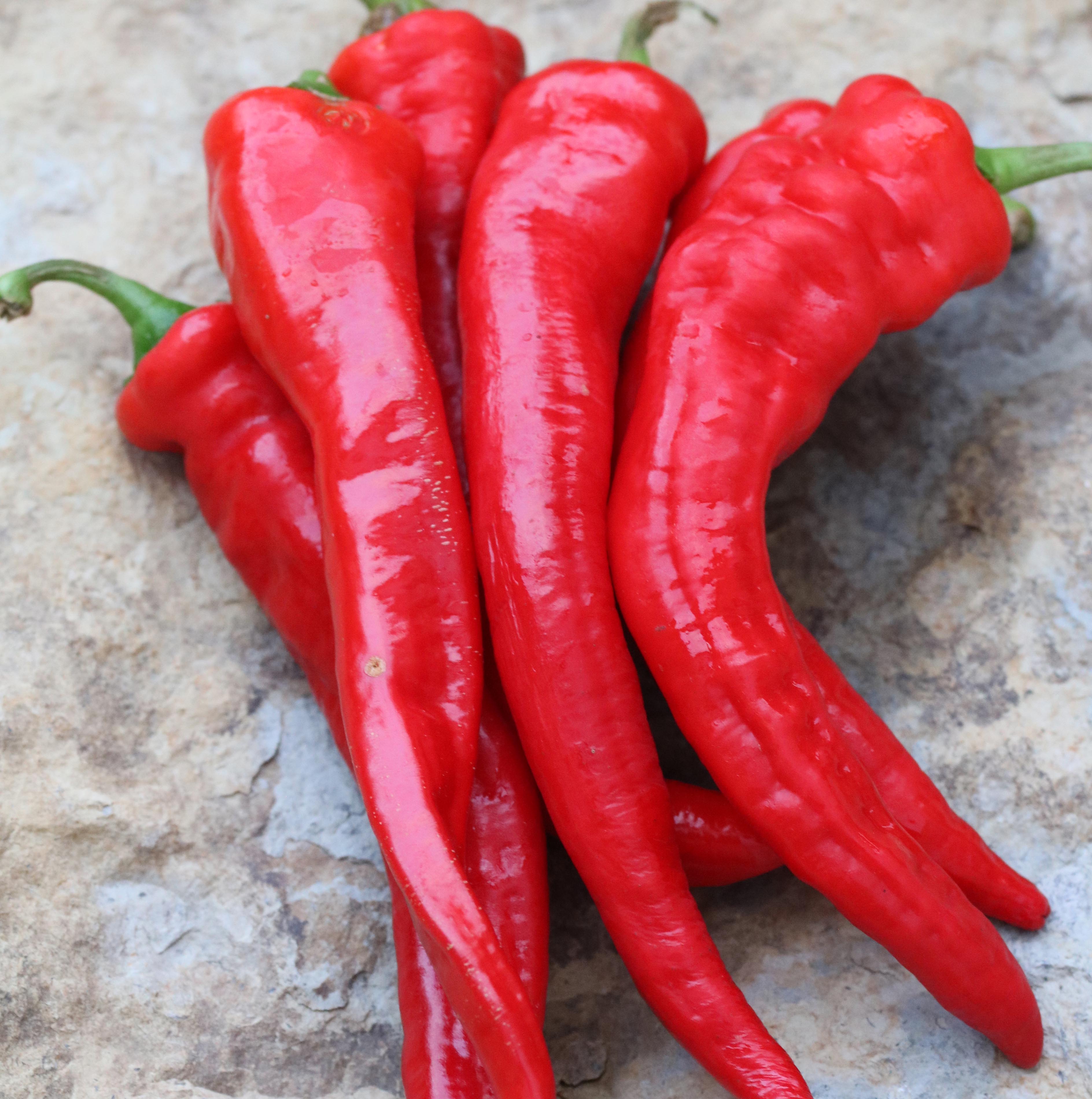 Hot Portugal Pepper Vegetable Seeds AS2476