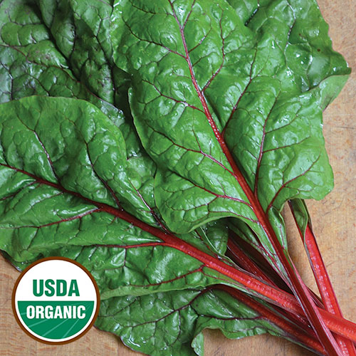 Rhubarb Red Swiss Chard Vegetable Seeds AS2310
