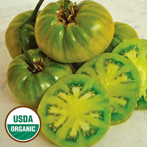 Tasty Evergreen Tomato Vegetable Seeds AS2562