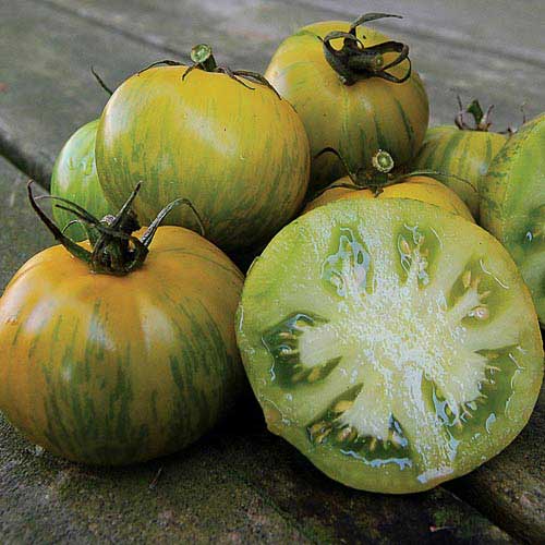 Green Zebra Tomato Vegetable Seeds AS2522
