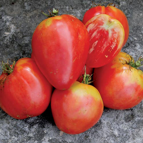 Hungarian Heart Tomato Vegetable Seeds AS2525