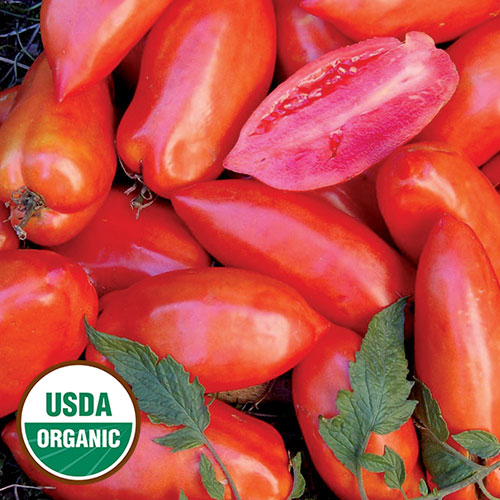 Opalka Tomato Vegetable Seeds AS2546