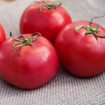 Arkansas Traveller Tomato