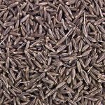 Cumin Herb Seeds AS2426