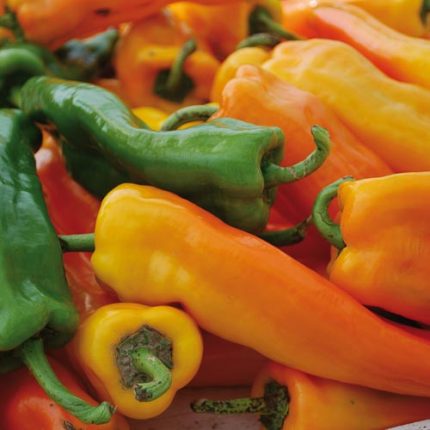 Golden Treasure Pepper Vegetable Seeds AS2251