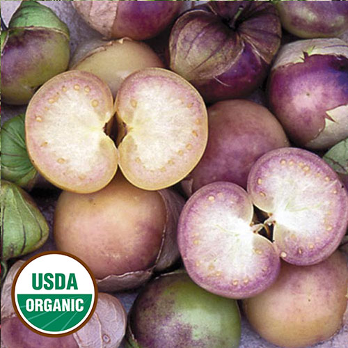 Purple Tomatillo Vegetable Seeds AS2313