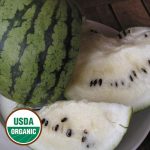 Cream of Saskatchewan Watermelon Vegetable Seeds AS2344