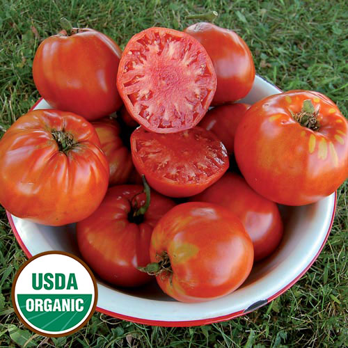 Italian Heirloom Tomato Vegetable Seeds AS2528