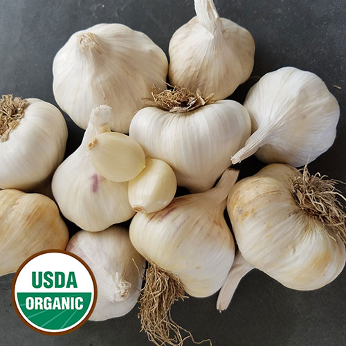 Inchelium Red Garlic Vegetable Seeds AS2127