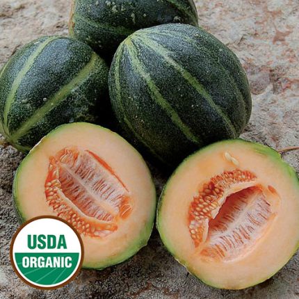 Emerald Gem Melon Vegetable Seeds AS2191