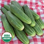 A & C Pickling Cucumber Vegetable Seeds AS2085