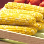 Delectable Hybrid (se) Sweet Corn Seed