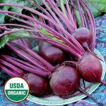 Detroit Dark Red Beet Vegetable Seeds AS2038