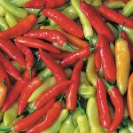 Aji Cristal Pepper Vegetable Seeds AS2230