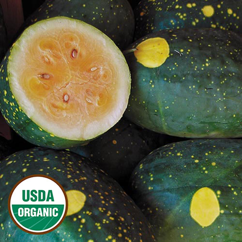 Moon & Stars (Yellow) Watermelon Vegetable Seeds AS2349