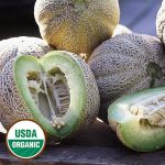 Eden's Gem Melon Vegetable Seeds AS2190