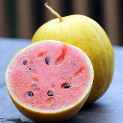 Golden Midget Watermelon Vegetable Seeds AS2345