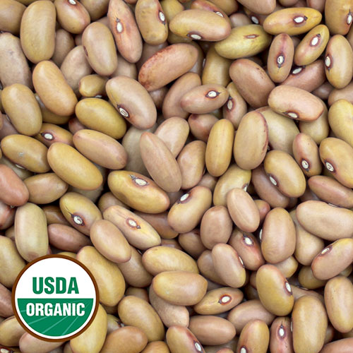 Ireland Creek Annie Bean Vegetable Seeds AS2026