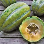 Bidwell Casaba Melon Vegetable Seeds AS2183
