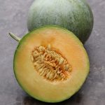 Charentais Melon Vegetable Seeds AS2185