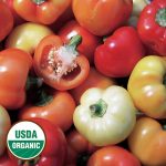 Alma Paprika Pepper Vegetable Seeds AS2231