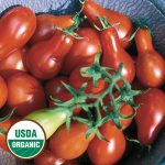 Austin's Red Pear Tomato Vegetable Seeds AS2318