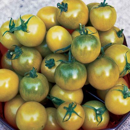Green Grape Tomato Vegetable Seeds AS2521