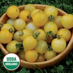 Lemon Drop Tomato Vegetable Seeds AS2536