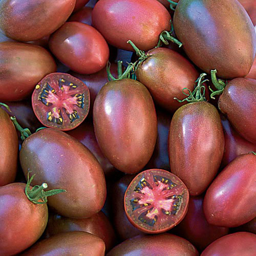 Ukrainian Purple Tomato Vegetable Seeds AS2566